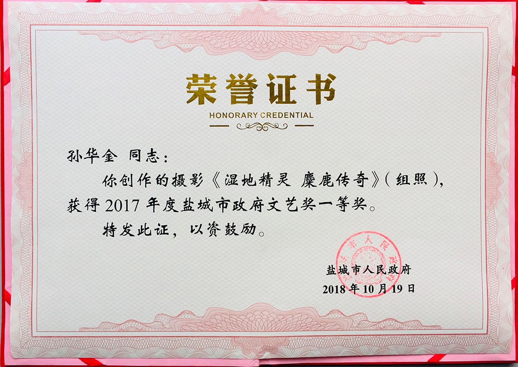 荣誉证书